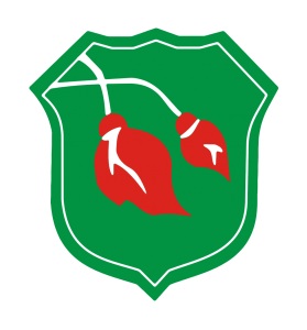Colegio y Liceo Ntra. Sra. Del Perpetuo Socorro - Madre Ana
